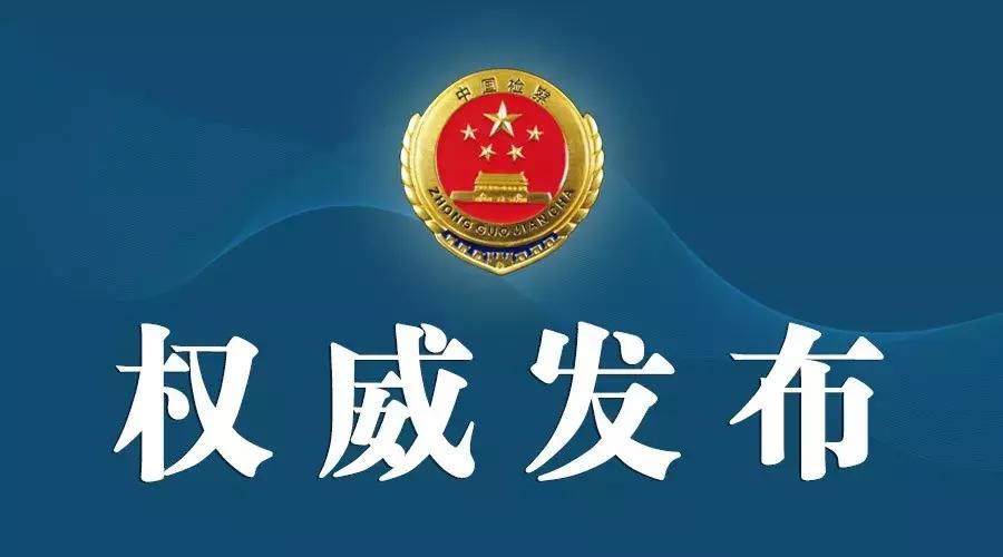 陈文库最新论述概览